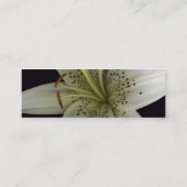 Stargazer-Visitenkarte Mini Visitenkarte (Rückseite)