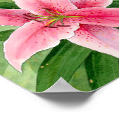 Stargazerlik Poster (Ecke)