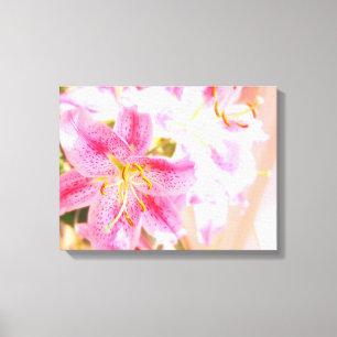 Stargazerlilie Leinwanddruck
