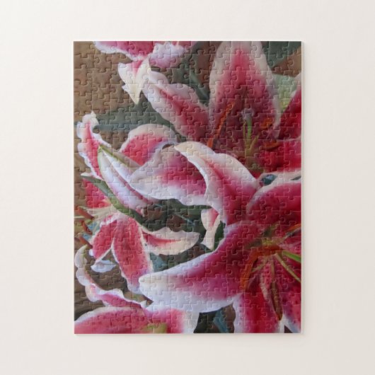 Stargazers-1 Puzzle (Vertikal)