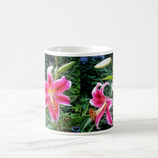 STARGAZERS-TASSE KAFFEETASSE (Mittel)