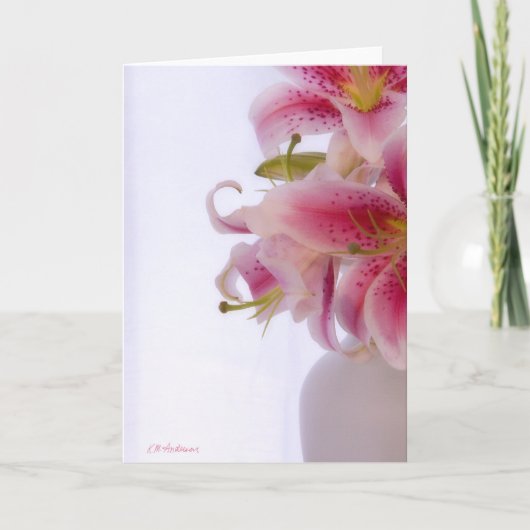 Stargazerweiß III Karte (Vorderseite)