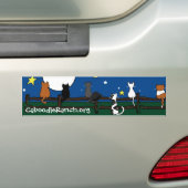 "Stargazing" Autoaufkleber (Auf Auto)