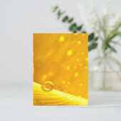 Stargazing Dew Tropfen auf gelber Geruchsdohle Postkarte (Stehend Vorderseite)
