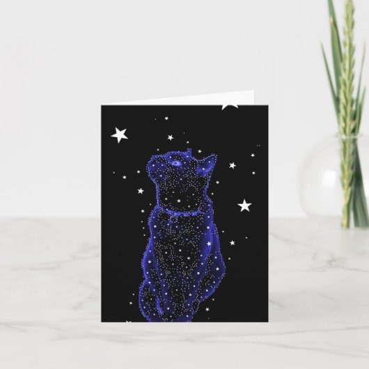 Stargazing Katzen-Anmerkungs-Karte Karte (Vorderseite)