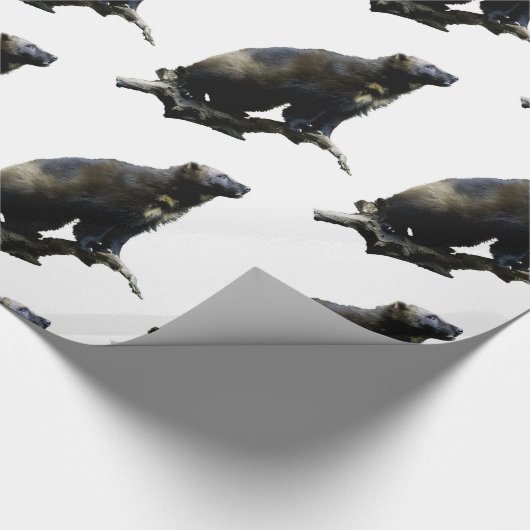 Stargazing Vielfrass Geschenkpapier (Ecke)