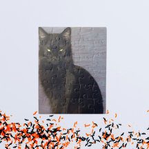 Staring Black Cat Foto
