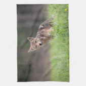 Staring Brown Coyote Fotografie, auf dem Feld Geschirrtuch (Vertikal)