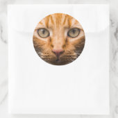 Staring Cat Aufkleber (Tasche)