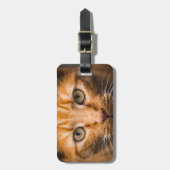 Staring Cat Custom Gepäckanhänger (Vorderseite vertikal)