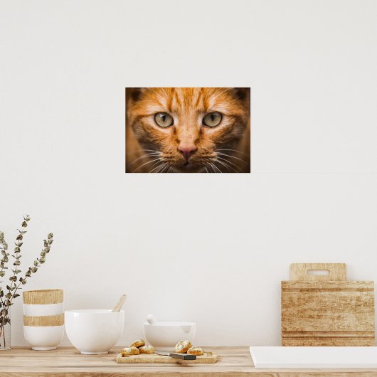 Staring Cat Poster (Küche)