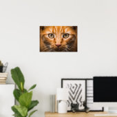 Staring Cat Poster (Heimbüro)