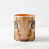 Staring Cat Tasse (Zentrum)