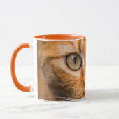 Staring Cat Tasse (Links)