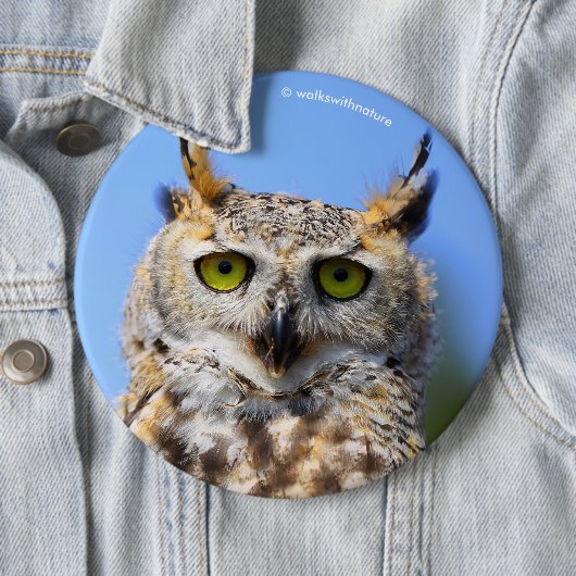 Staring Contest mit einem schönen großen Horned Ow Button (Beispiel)