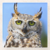 Staring Contest mit einem schönen großen Horned Ow Glasuntersetzer (Vorderseite)