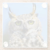 Staring Contest mit einem schönen großen Horned Ow Glasuntersetzer (Rückseite)