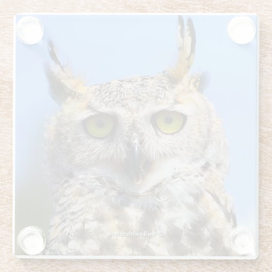 Staring Contest mit einem schönen großen Horned Ow Glasuntersetzer (Rückseite)