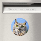 Staring Contest mit einem schönen großen Horned Ow Magnet (In Situ (Geschirrspüler))