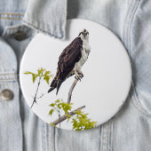 Staring Osprey Button (Beispiel)