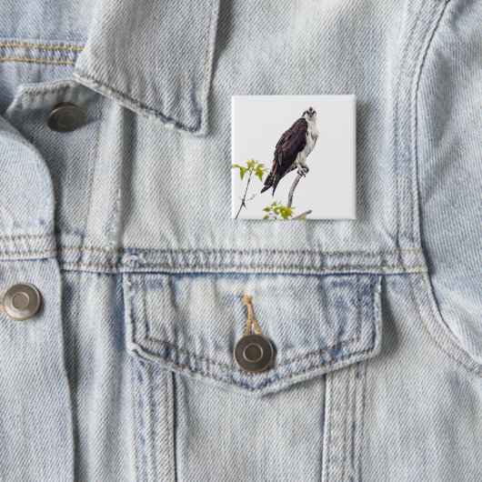 Staring Osprey Button (Beispiel)