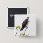 Staring Osprey Button (Vorne & Hinten)