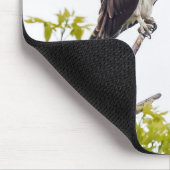 Staring Osprey Mousepad (Ecke)