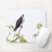Staring Osprey Mousepad (Mit Mouse)