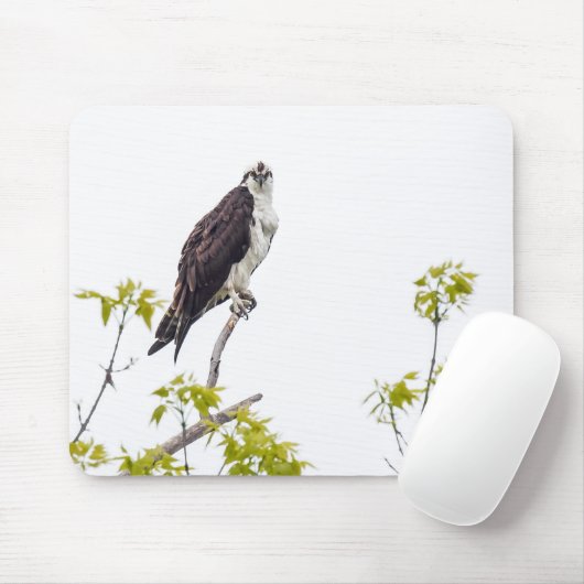 Staring Osprey Mousepad (Mit Mouse)