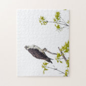 Staring Osprey Puzzle (Vertikal)