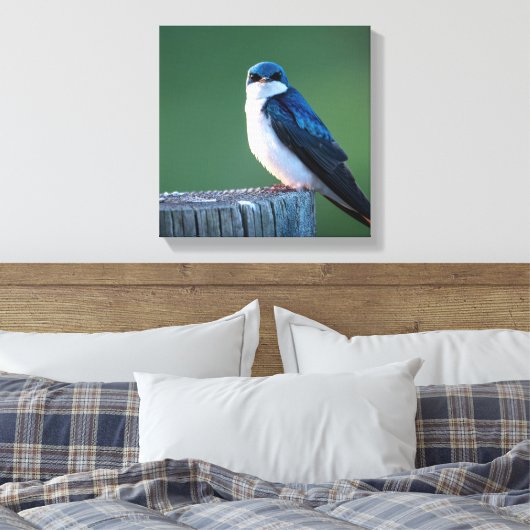 Staring Sparrow Leinwanddruck (Insitu (Schlafzimmer))