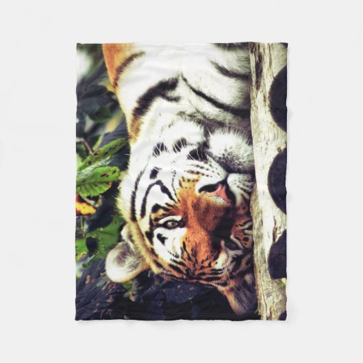 Staring Tiger Fleecedecke (Vorderseite)