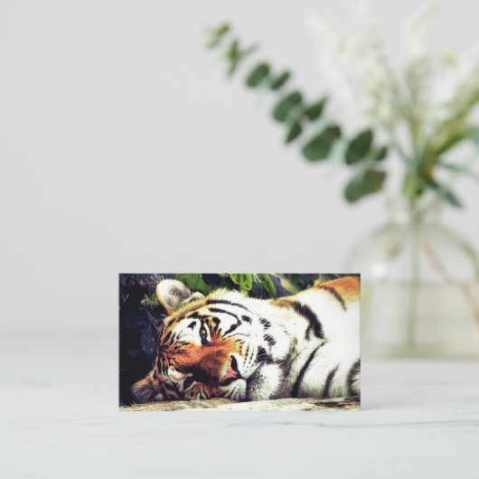 Staring Tiger Visitenkarte (Stehend Vorderseite)