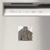 Staring-Uhu Magnet (In Situ (Geschirrspüler))