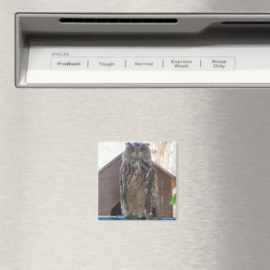 Staring-Uhu Magnet (In Situ (Geschirrspüler))