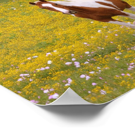 Stark Sweet Horse and Scripture 2 Timothy 1:7 Poster (Ecke)