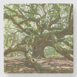 stark und kühl steinuntersetzer