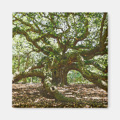 stark und mutig magnet (Vorne)