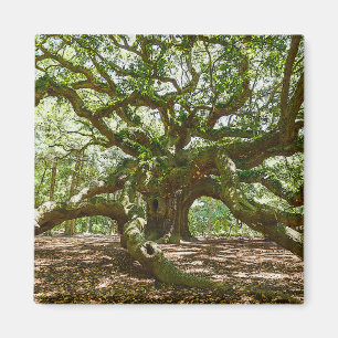 stark und mutig magnet