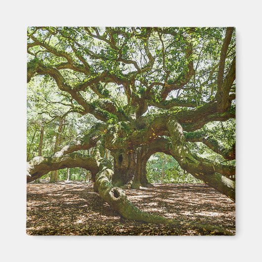 stark und mutig magnet (Vorne)