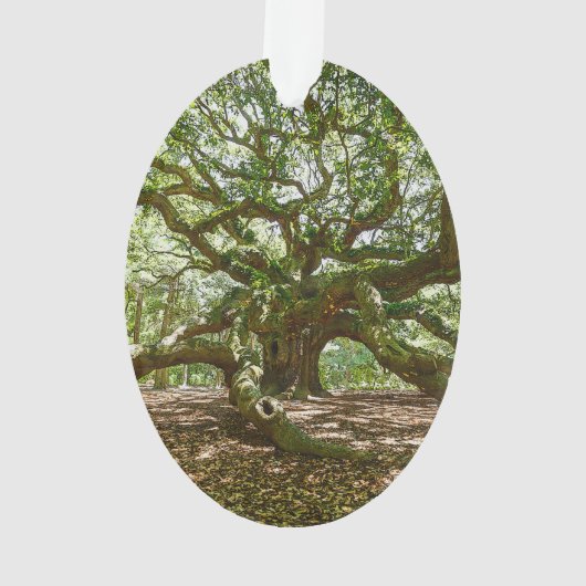 Stark und mutig ornament (Rückseite)