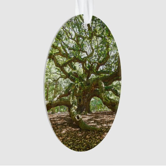 Stark und mutig ornament (Vorderseite)