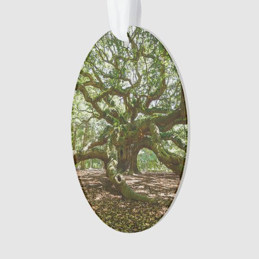 Stark und mutig ornament (Vorderseite)