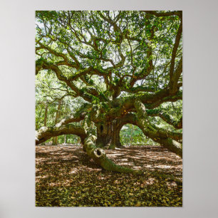 stark und mutig poster