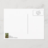 stark und mutig postkarte (Rückseite)