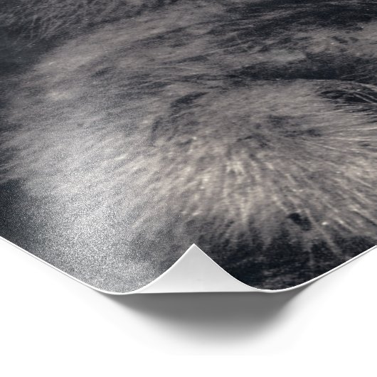 stark wie Mamma Polar Bear Cube Fotodruck (Ecke)