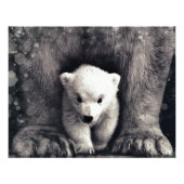 stark wie Mamma Polar Bear Cube Fotodruck (Vorne)