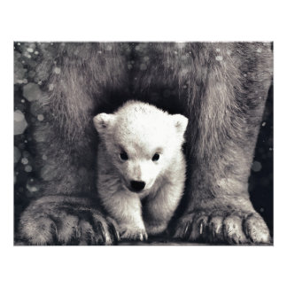 stark wie Mamma Polar Bear Cube Fotodruck