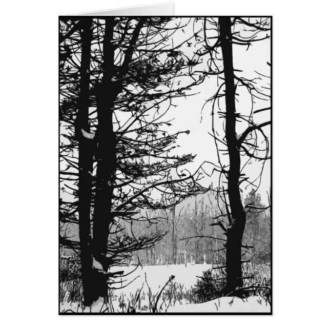 Stark Winter Day (Vorne)