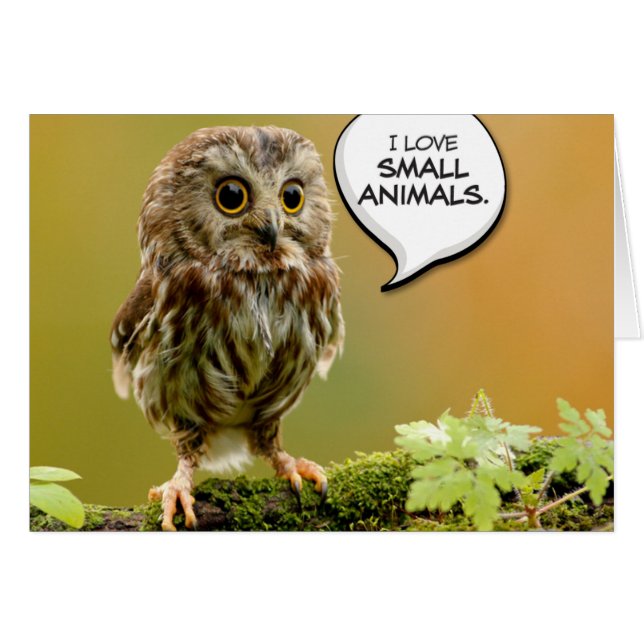 "Starke Baby-Eule" ließ uns das Mittagessen tun (Vorderseite (Horizontal))